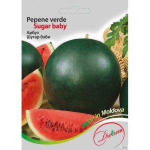 Seminte Euro Pepene Verde "Sugar Baby" 1,5g