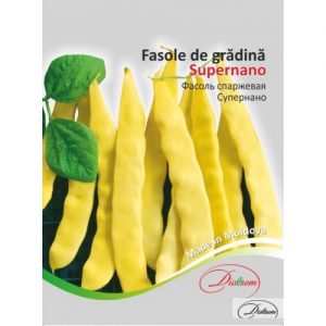 Seminte Maxi Fasole de gradina"Supernano" 20g