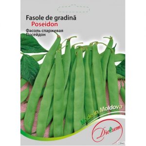 Seminte Maxi Fasolede Gradina "Poseidon" 20g