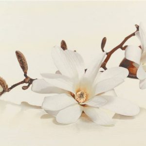 Decor  Flora Magnolia  30x45  OPOCZNO  10843