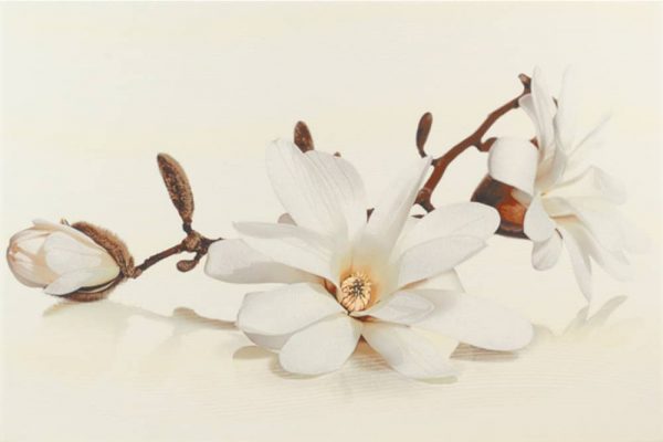 Decor  Flora Magnolia  30x45  OPOCZNO  10843